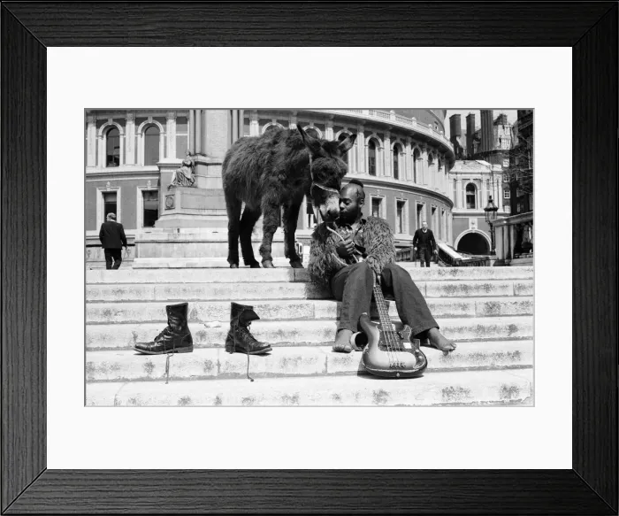 Framed Print : American pop group called Funkadelic have been banned from performing Framed Print : American pop group called Funkadelic have been banned from performing