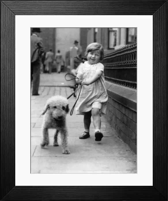 Framed Print : Rex the dog. Rex, with six year old Joyce Thompson Framed Print : Rex the dog. Rex, with six year old Joyce Thompson