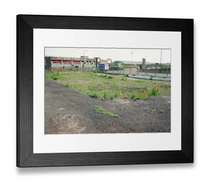 Framed Print : The Cattle Market in Newcastle. 24th June 1996 Framed Print : The Cattle Market in Newcastle. 24th June 1996