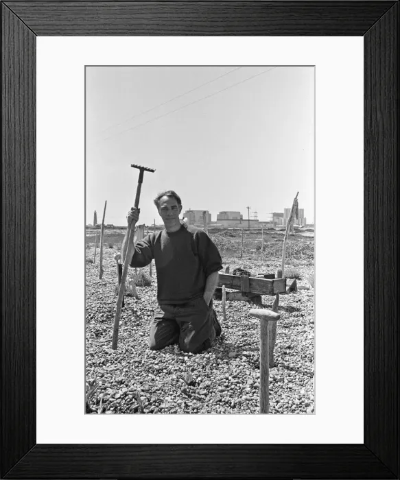 Framed Print : Derek Jarman, English film director, stage designer, diarist, artist, gardener Framed Print : Derek Jarman, English film director, stage designer, diarist, artist, gardener
