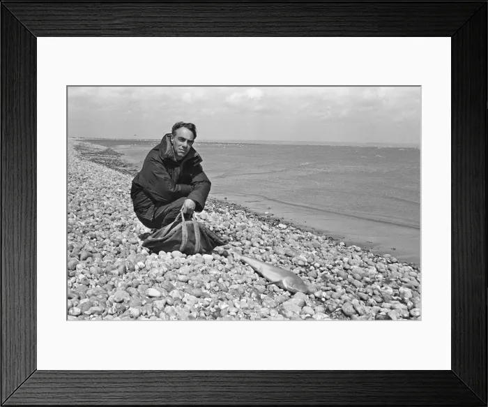 Framed Print : Derek Jarman, English film director, stage designer, diarist, artist, gardener Framed Print : Derek Jarman, English film director, stage designer, diarist, artist, gardener