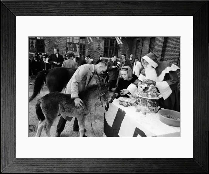 Framed Print : PDSA animal Christmas party. Pictured, Millicent Martin Framed Print : PDSA animal Christmas party. Pictured, Millicent Martin