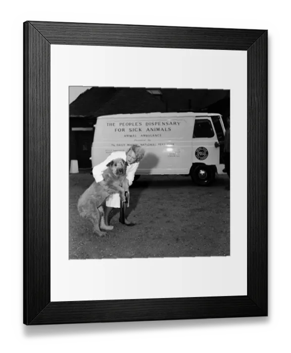 Framed Print : The new ambulance for animals presented by the Daily Mirror National Pets Club to Framed Print : The new ambulance for animals presented by the Daily Mirror National Pets Club to