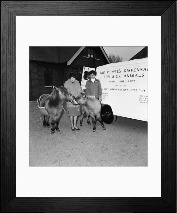 Framed Print : The new ambulance for animals presented by the Daily Mirror National Pets Club to Framed Print : The new ambulance for animals presented by the Daily Mirror National Pets Club to