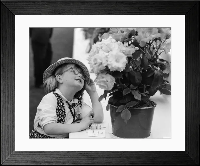 Framed Print : St Helens show. Sherdley Park, St Helen, Merseyside. Pictured