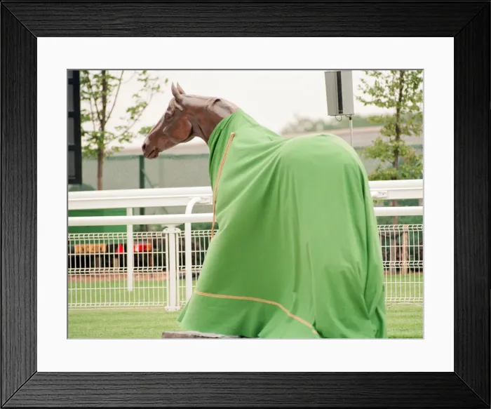 Framed Print : Derby Day, Epsom Downs Racecourse, Epsom, Surrey, Saturday 10th June 1995 Framed Print : Derby Day, Epsom Downs Racecourse, Epsom, Surrey, Saturday 10th June 1995