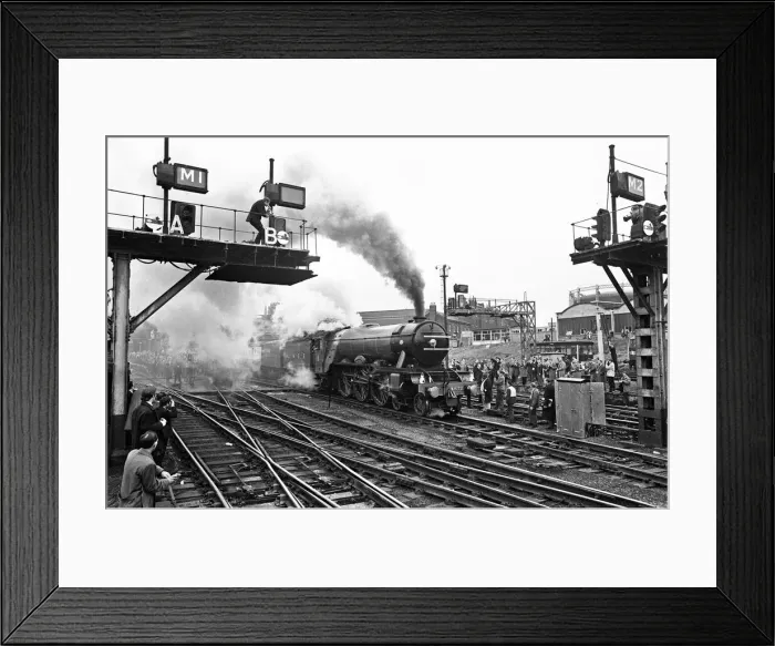 Framed Print : The Flying Scotsman. The 40th anniversary run from Kings Cross to Edinburgh