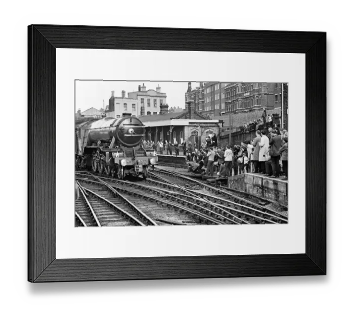 Framed Print : The Flying Scotsman - Trainspotter Special. The Flying Scotsman moves past Framed Print : The Flying Scotsman - Trainspotter Special. The Flying Scotsman moves past