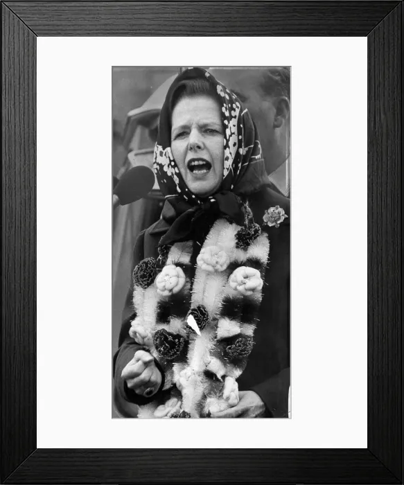 Framed Print : Margaret Thatcher covered in garlands giving speech during visit to the Midlands - June
