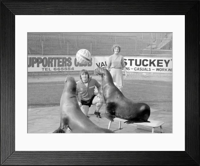 Framed Print : Bristol City football player Kevin Mabbutt heads the ball to a sea lion at a photocall Framed Print : Bristol City football player Kevin Mabbutt heads the ball to a sea lion at a photocall