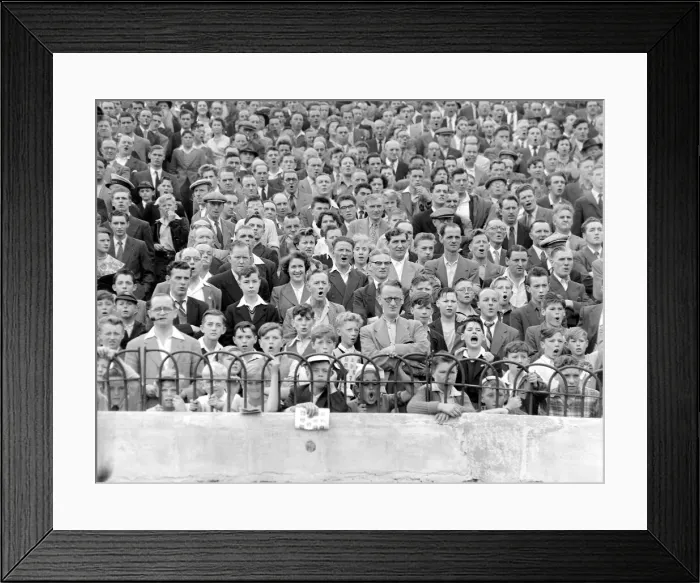 Framed Print : Chelsea supporters seen here in the stands at Stamford Bridge Framed Print : Chelsea supporters seen here in the stands at Stamford Bridge