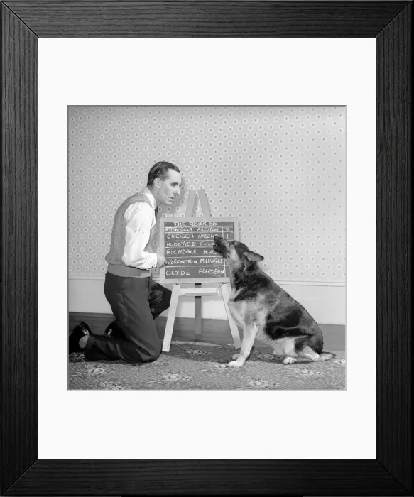 Framed Print : Bob Smith and his alsatian dog who helps him pick his football pools. 1957 Framed Print : Bob Smith and his alsatian dog who helps him pick his football pools. 1957