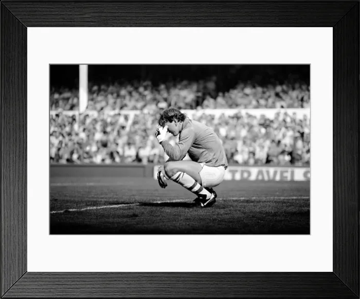 Framed Print : Everton 1 v. Tottenham Hotspur 4. August 1984 MF17-17-011 Everton keeper Neville
