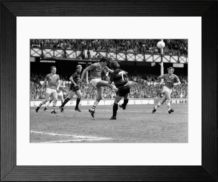 Framed Print : Everton 3 v. Queens Park Rangers 1. May 1984 MF15-11-003 Framed Print : Everton 3 v. Queens Park Rangers 1. May 1984 MF15-11-003