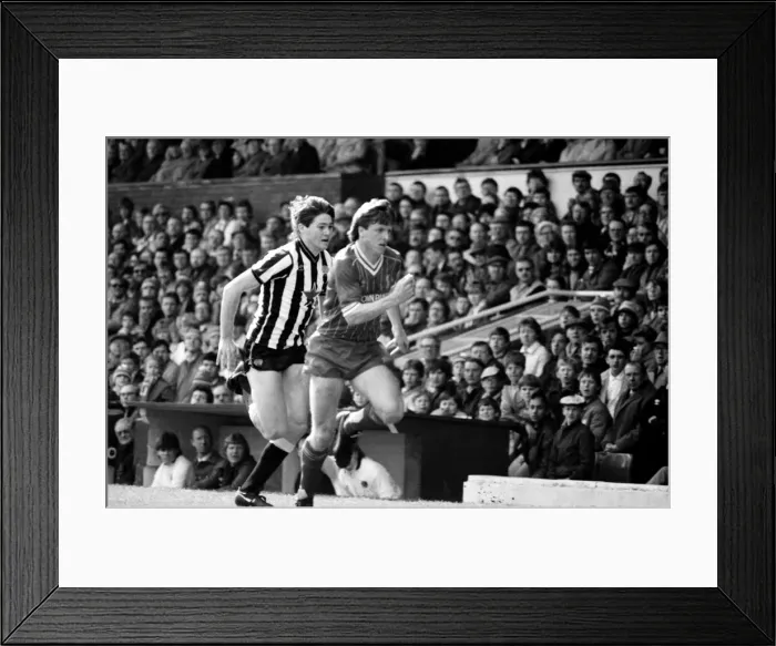 Framed Print : Liverpool v. Newcastle. April 1985 MF21-02-010 The final score was a Three one Framed Print : Liverpool v. Newcastle. April 1985 MF21-02-010 The final score was a Three one