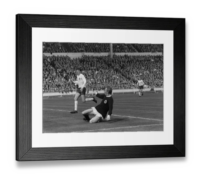 Framed Print : Football Scotland versus England at Wembley 1967 Denis Law Framed Print : Football Scotland versus England at Wembley 1967 Denis Law