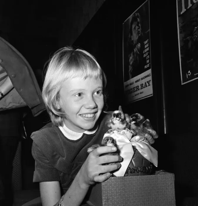 Framed Print : 12-year-old actress Hayley Mills holds a press conference at the Leicester Square Theatre Framed Print : 12-year-old actress Hayley Mills holds a press conference at the Leicester Square Theatre