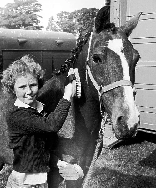 14 year old Julie Simpson brushing a horse at Hutton Rudby agricultural show