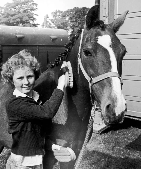 Framed Print : 14 year old Julie Simpson brushing a horse at Hutton Rudby agricultural show Framed Print : 14 year old Julie Simpson brushing a horse at Hutton Rudby agricultural show