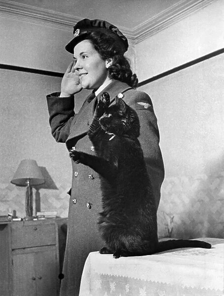 In 1940 Smoky ithe cat was rescued after an air raid during blitz