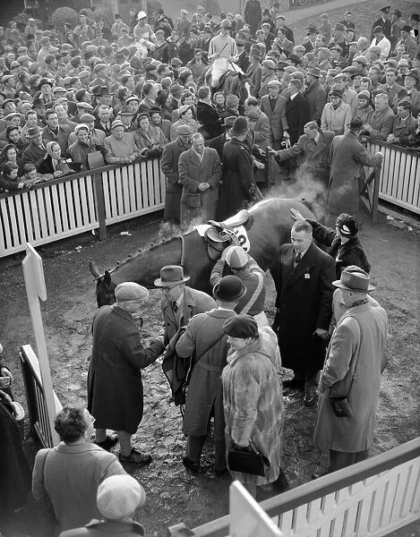 1955 Cheltenham Gold Cup winner, 'Gay Donald', in the winners enclosure