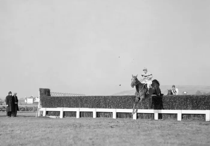 Framed Print : 1956 Cheltenham Gold Cup. No. 1 Limber Hill and jockey J Power taking a fence on his way Framed Print : 1956 Cheltenham Gold Cup. No. 1 Limber Hill and jockey J Power taking a fence on his way