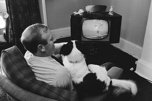 1966 World Cup Tournament in England. Pickles the hero dog who found the Jules