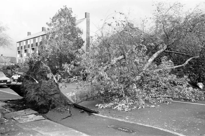 Framed Print : The 1987 Great Storm occurred on the night of 15 ? 16th October 1987 Framed Print : The 1987 Great Storm occurred on the night of 15 ? 16th October 1987