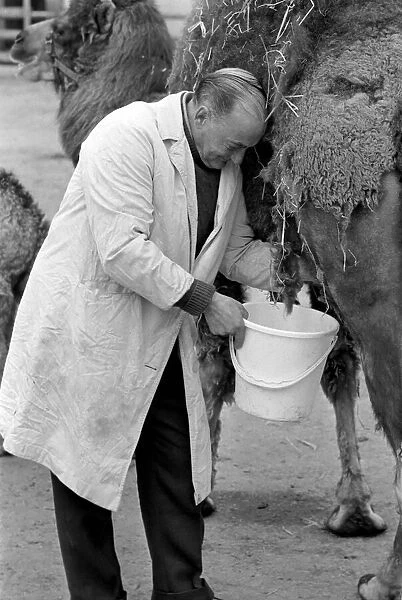 3 week old camel and keeper Alec Long. March 1975 75-01675-002