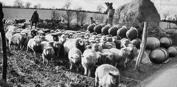 500 lb bomb ordnance depot at a farm in England during Second World War