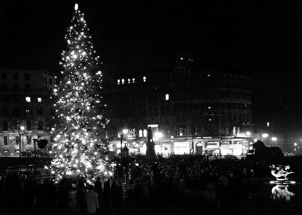 A 56 foot Christmas tree in Trafalgar Square given to Londoners by the people of Oslo