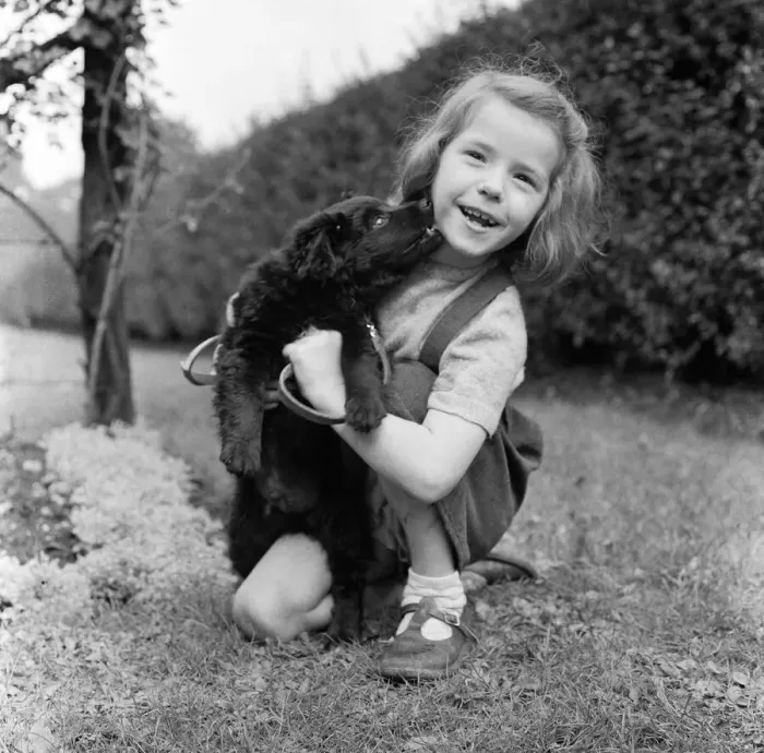 Framed Print : 6 year old Ann Field and her dog. Ardwick, Manchester, 7th March 1957 Framed Print : 6 year old Ann Field and her dog. Ardwick, Manchester, 7th March 1957