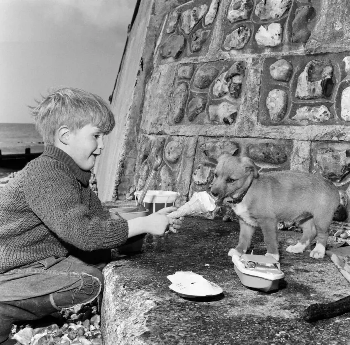Framed Print : 6-year-old Mark Austin from Rickmansworth, spending the Easter holidays with his brother Framed Print : 6-year-old Mark Austin from Rickmansworth, spending the Easter holidays with his brother
