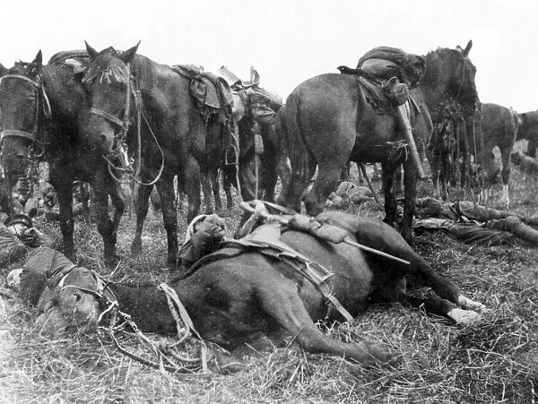 6th Dragoon Guards horse making a pillow of a troopers legs