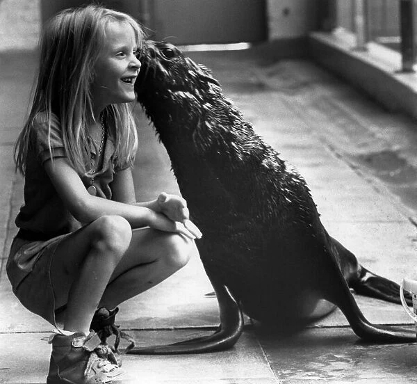 7 year old Nicky Wilson makes friends with Grumpy the sea lion at Knowsley Safari Park