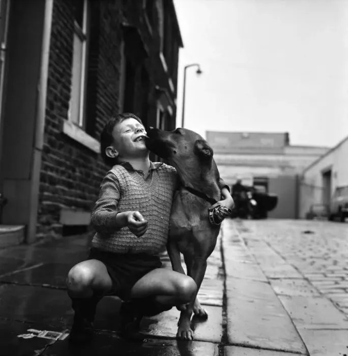 Framed Print : 7 year old William Fraser of Colne with Lady'the dog who saved his life Framed Print : 7 year old William Fraser of Colne with Lady'the dog who saved his life