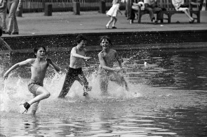 Framed Print : Well into the 80s - todays sun brought out people onto Hampstead Heath to cool off Framed Print : Well into the 80s - todays sun brought out people onto Hampstead Heath to cool off