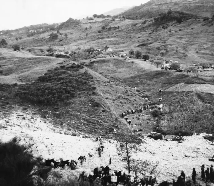 Framed Print : 8th Army mule train in Trigno. A Trigno landscape mule trains are a prominent Framed Print : 8th Army mule train in Trigno. A Trigno landscape mule trains are a prominent