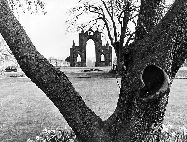 The 98 foot high ruins of the Augustinian Priory Church at Guisborough. 25th April 1975