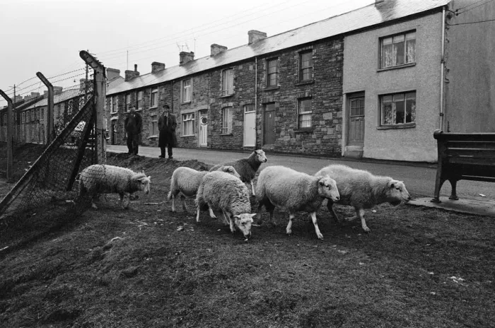 Framed Print : Abertillery, the largest town of the Ebbw Fach valley in what was the historic county of