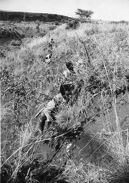Abyssinian War October 1935 Abyssinian infantry advancing undercover on the Ogaden