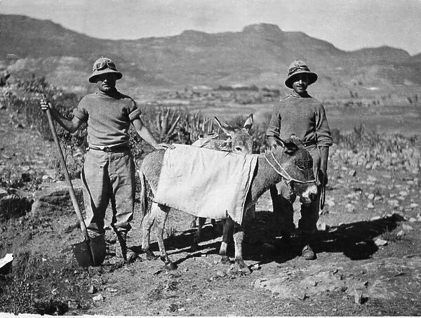 Abyssinian War October 1935 Two Italian soldiers with donkeys carrying water