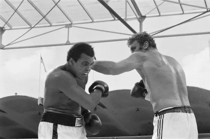 Framed Print : Action during the heavyweight world title fight between American Muhammad Ali Framed Print : Action during the heavyweight world title fight between American Muhammad Ali
