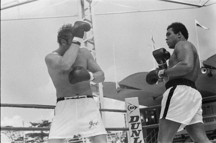 Framed Print : Action during the heavyweight world title fight between American Muhammad Ali Framed Print : Action during the heavyweight world title fight between American Muhammad Ali