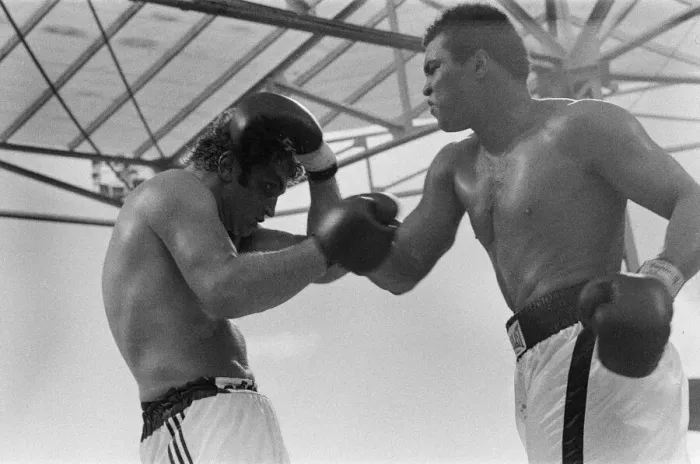 Framed Print : Action during the heavyweight world title fight between American Muhammad Ali Framed Print : Action during the heavyweight world title fight between American Muhammad Ali