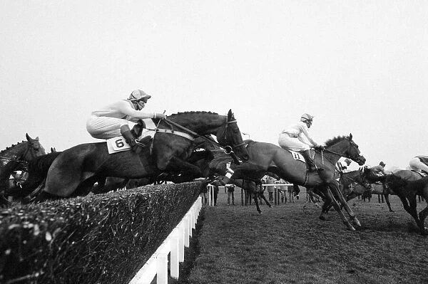 Action shot at beginning of the 1984 Cheltenham Gold Cup 14th March 1984