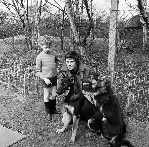 Actor, Oliver Reed, with his 7 year old son Mark and their alsatians Rex (left) and Rinty