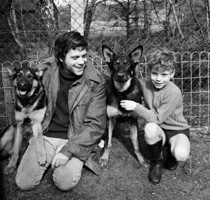 Framed Print : Actor, Oliver Reed, with his 7 year old son Mark and their alsatians Rex (left) and Rinty Framed Print : Actor, Oliver Reed, with his 7 year old son Mark and their alsatians Rex (left) and Rinty