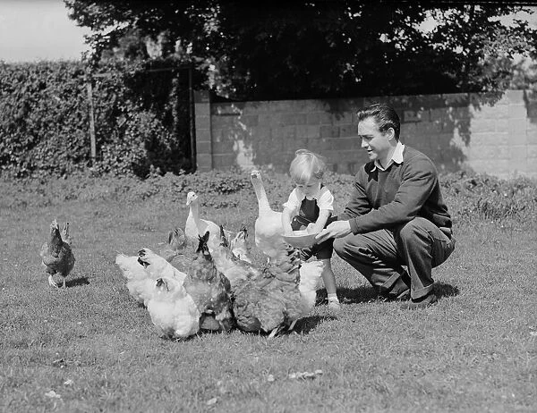 Actor Richard Todd feeding the chickens with his son Peter at home
