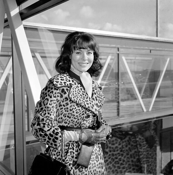 Actress Anne Heywood, arrived at Heathrow Airport today from Geneva
